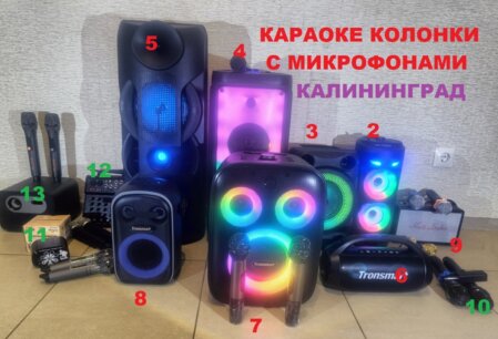 колонка музыкальная с микрофоном музыкальный цент караоке